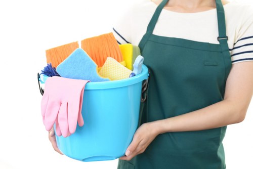 Professional pet stain odour removal in Shadwell for carpets