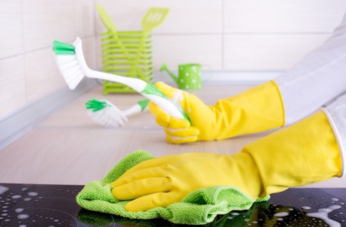 Steam and low-moisture curtain cleaning in Shadwell