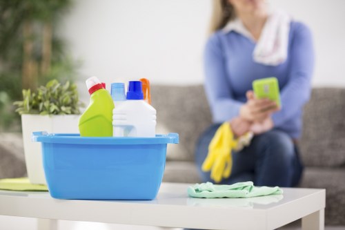 Fabric sofa cleaning process in a Shadwell home