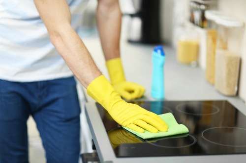 Cleaning process being explained during a carpet care appointment